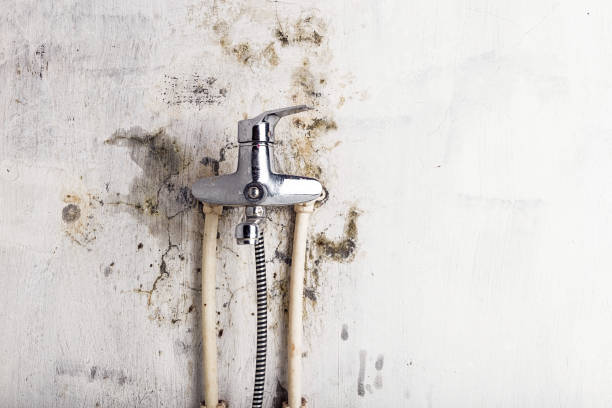 Best HVAC Mold Remediation in Payne, OH